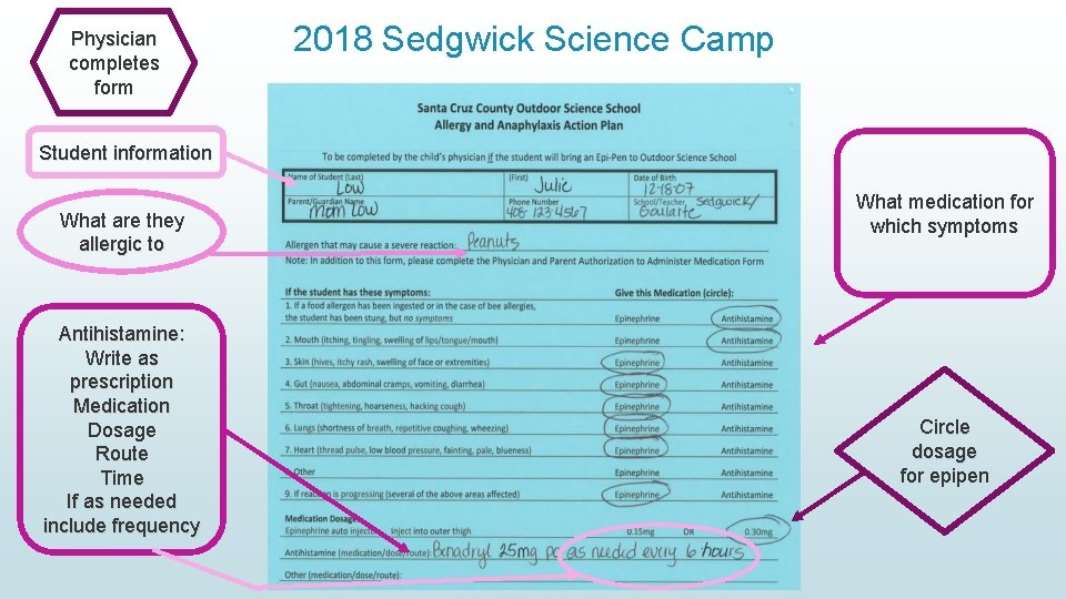 Physician completes form 2018 Sedgwick Science Camp Student information What are they allergic to