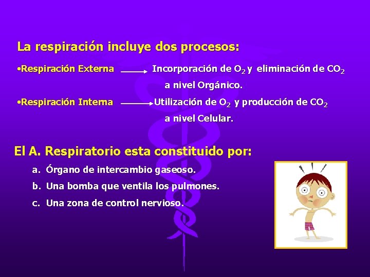 La respiración incluye dos procesos: • Respiración Externa Incorporación de O 2 y eliminación La respiración incluye dos procesos: • Respiración Externa Incorporación de O 2 y eliminación