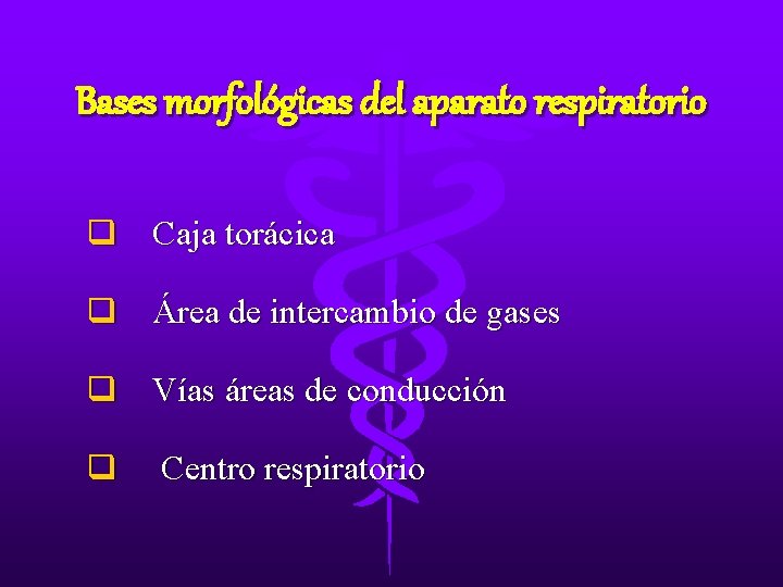Bases morfológicas del aparato respiratorio q Caja torácica q Área de intercambio de gases Bases morfológicas del aparato respiratorio q Caja torácica q Área de intercambio de gases