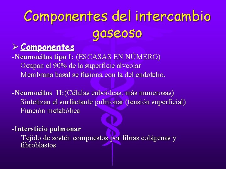 Componentes del intercambio gaseoso Ø Componentes -Neumocitos tipo I: (ESCASAS EN NÚMERO) Ocupan el Componentes del intercambio gaseoso Ø Componentes -Neumocitos tipo I: (ESCASAS EN NÚMERO) Ocupan el