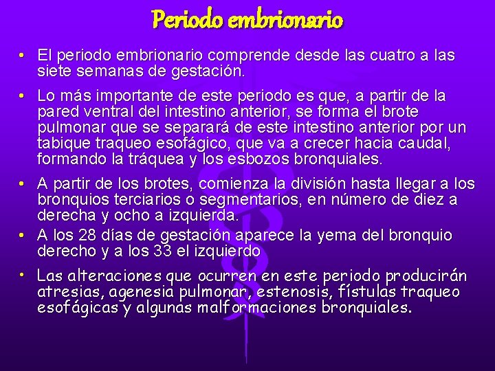 Periodo embrionario • El periodo embrionario comprende desde las cuatro a las siete semanas Periodo embrionario • El periodo embrionario comprende desde las cuatro a las siete semanas