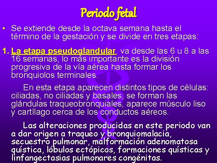 Periodo fetal • Se extiende desde la octava semana hasta el término de la Periodo fetal • Se extiende desde la octava semana hasta el término de la