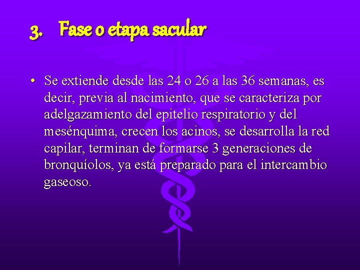 3. Fase o etapa sacular • Se extiende desde las 24 o 26 a 3. Fase o etapa sacular • Se extiende desde las 24 o 26 a