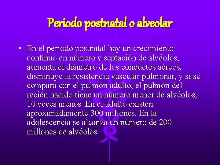Periodo postnatal o alveolar • En el periodo postnatal hay un crecimiento contínuo en Periodo postnatal o alveolar • En el periodo postnatal hay un crecimiento contínuo en