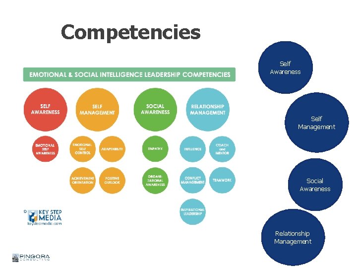 Competencies Self Awareness Self Management Social Awareness Relationship Management 