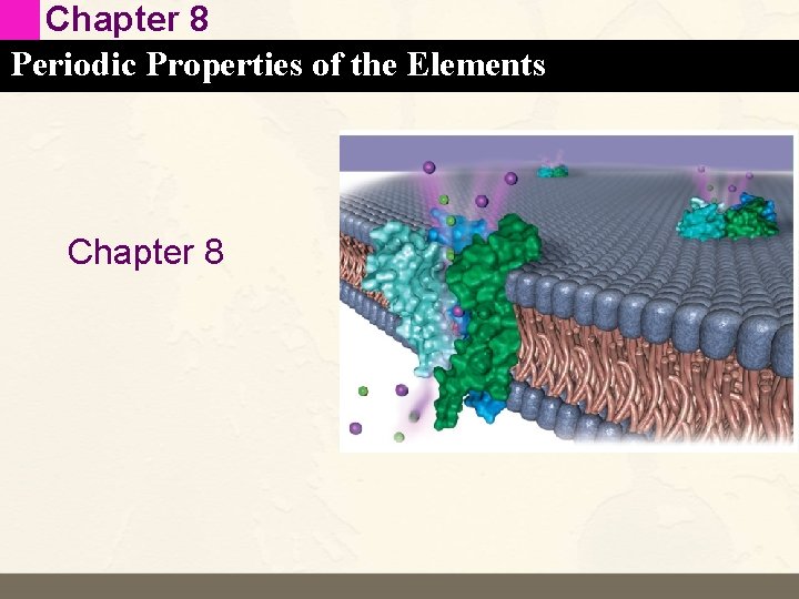 Chapter 8 Periodic Properties of the Elements Chapter 8 