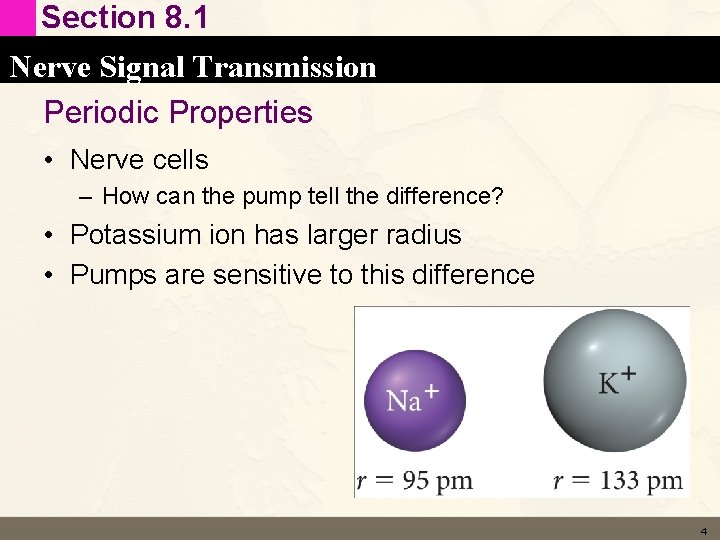 Section 8. 1 Nerve Signal Transmission Periodic Properties • Nerve cells – How can