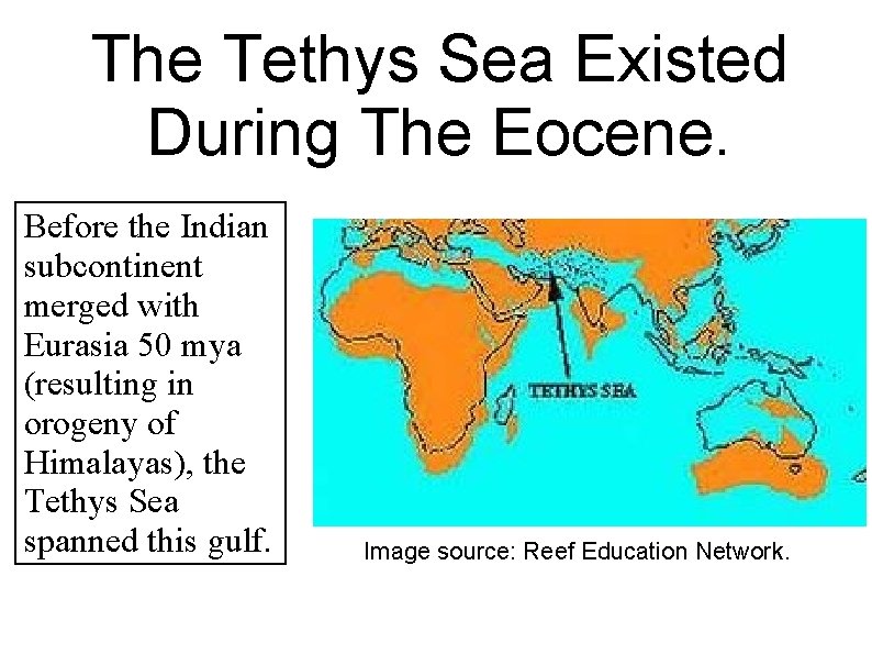 The Tethys Sea Existed During The Eocene. Before the Indian subcontinent merged with Eurasia The Tethys Sea Existed During The Eocene. Before the Indian subcontinent merged with Eurasia