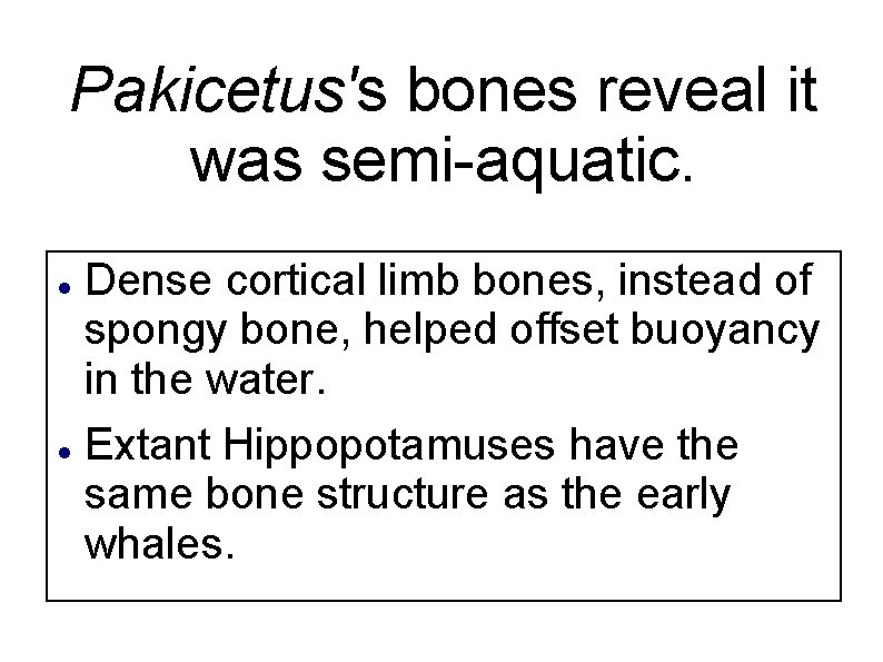 Pakicetus's bones reveal it was semi-aquatic. Dense cortical limb bones, instead of spongy bone,