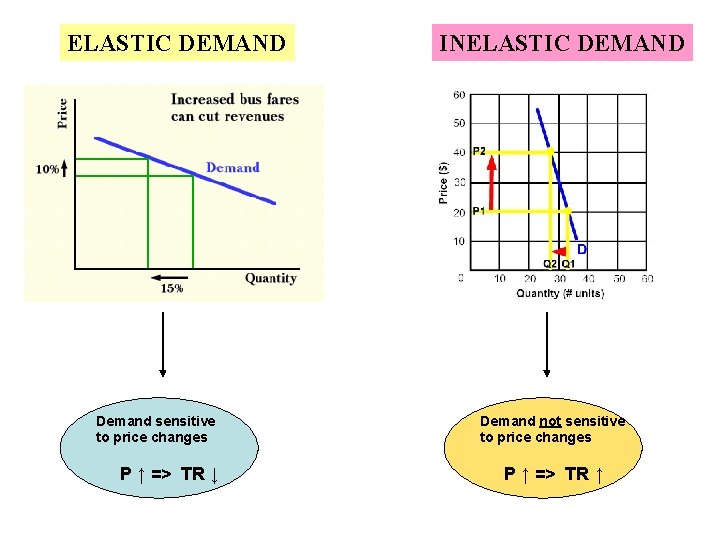 ELASTIC DEMAND Demand sensitive to price changes P ↑ => TR ↓ INELASTIC DEMAND
