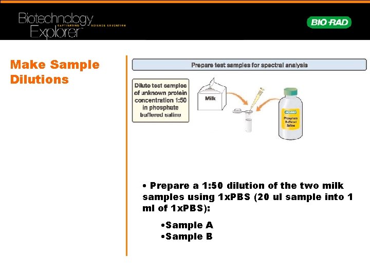 Make Sample Dilutions • Prepare a 1: 50 dilution of the two milk samples