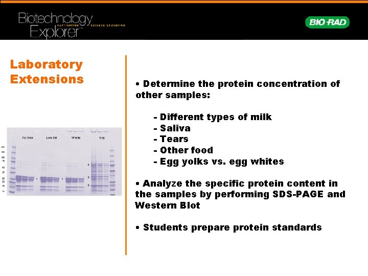 Laboratory Extensions • Determine the protein concentration of other samples: - Different types of