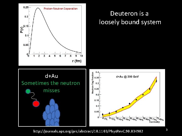 Proton-Neutron Separation Deuteron is a loosely bound system d+Au Sometimes the neutron misses http: