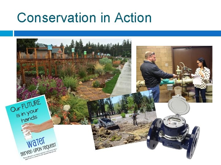 Conservation in Action 