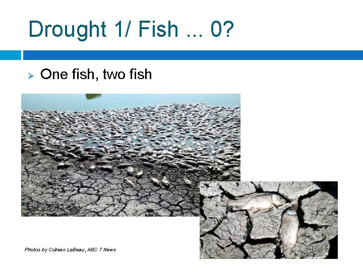 Drought 1/ Fish. . . 0? Ø One fish, two fish Photos by Colleen