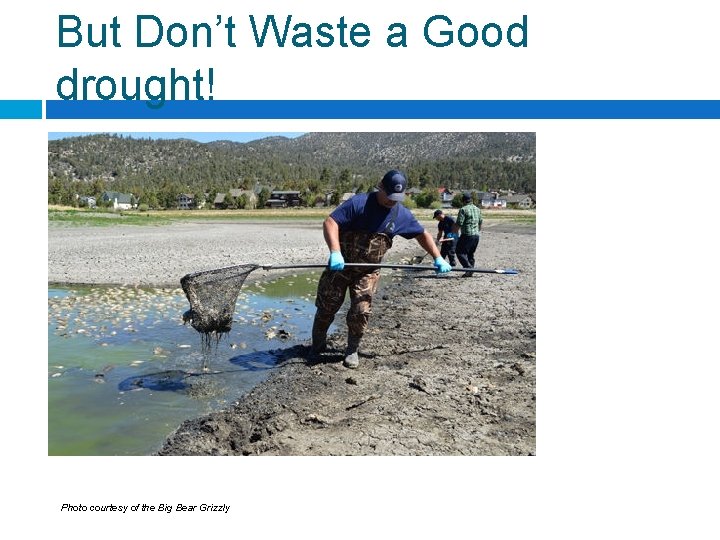 But Don’t Waste a Good drought! Photo courtesy of the Big Bear Grizzly 