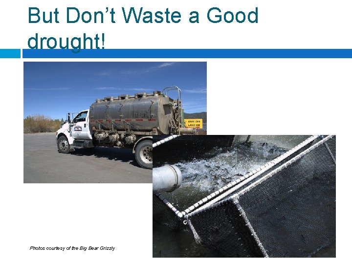 But Don’t Waste a Good drought! Photos courtesy of the Big Bear Grizzly 