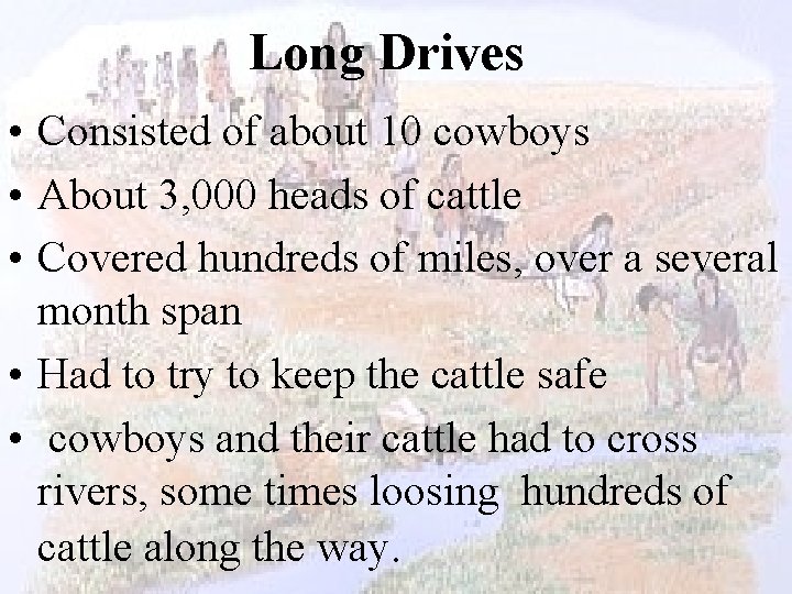 Long Drives • Consisted of about 10 cowboys • About 3, 000 heads of