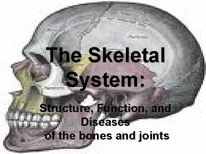 The Skeletal System: Structure, Function, and Diseases of the bones and joints 