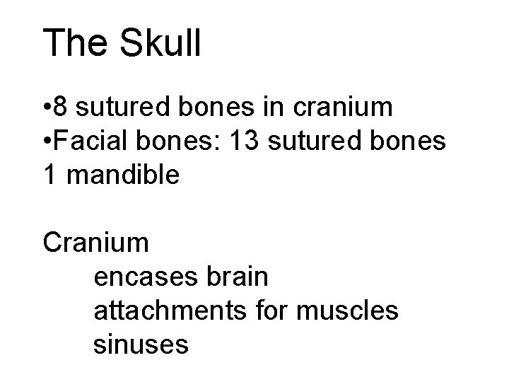 The Skull • 8 sutured bones in cranium • Facial bones: 13 sutured bones