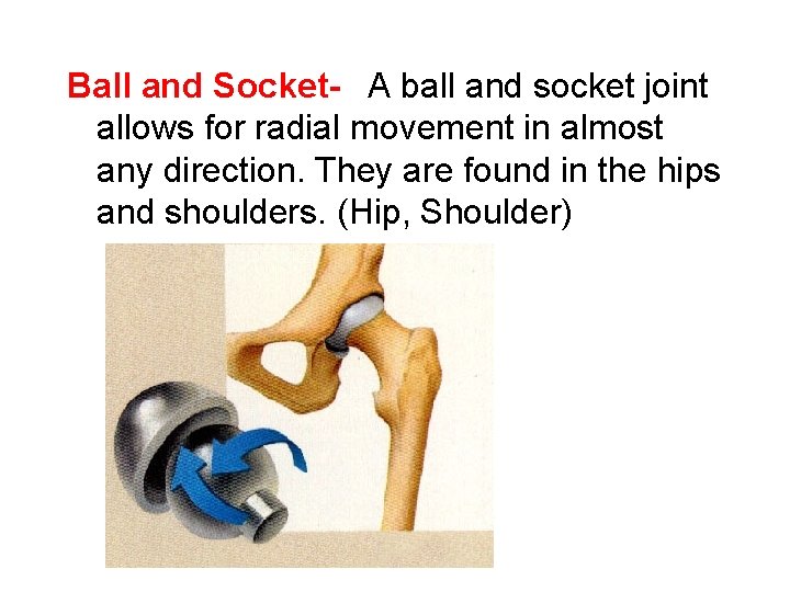 Ball and Socket-  A ball and socket joint allows for radial movement in almost