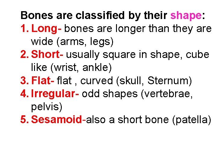 Bones are classified by their shape: 1. Long- bones are longer than they are