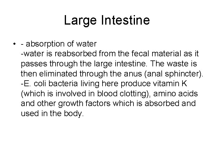 Large Intestine • - absorption of water -water is reabsorbed from the fecal material