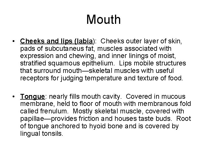 Mouth • Cheeks and lips (labia): Cheeks outer layer of skin, pads of subcutaneus