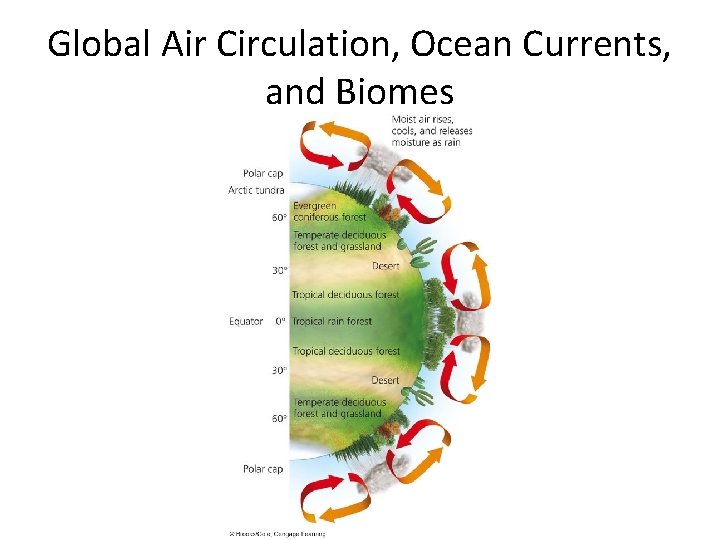 Global Air Circulation, Ocean Currents, and Biomes 