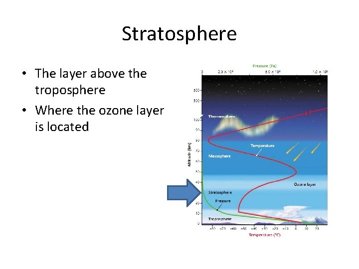 Stratosphere • The layer above the troposphere • Where the ozone layer is located