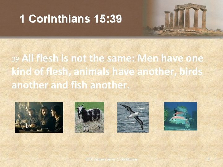 1 Corinthians 15: 39 All flesh is not the same: Men have one kind