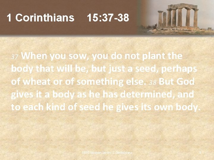 1 Corinthians 15: 37 -38 When you sow, you do not plant the body