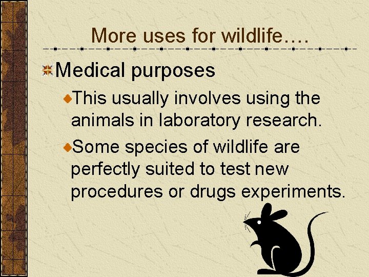 More uses for wildlife…. Medical purposes This usually involves using the animals in laboratory