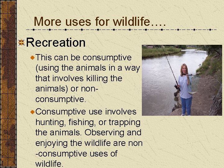 More uses for wildlife…. Recreation This can be consumptive (using the animals in a