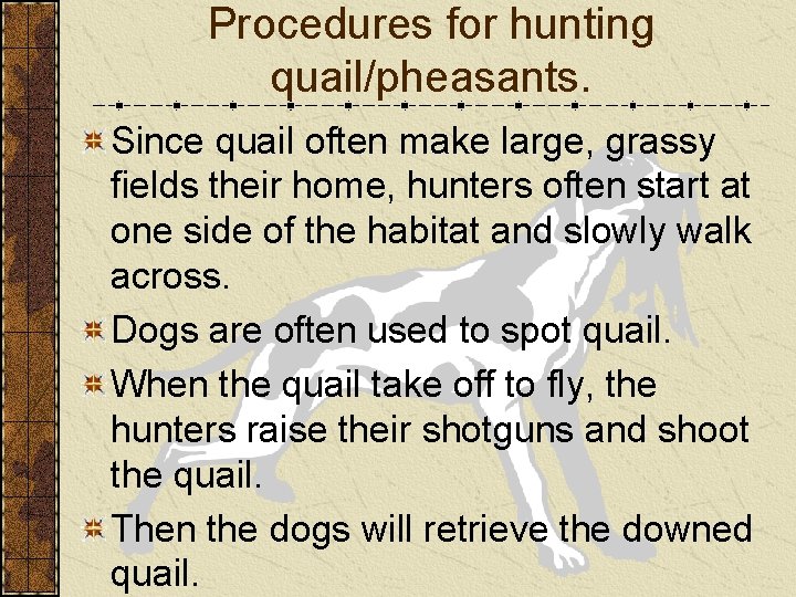 Procedures for hunting quail/pheasants. Since quail often make large, grassy fields their home, hunters