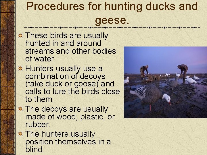 Procedures for hunting ducks and geese. These birds are usually hunted in and around