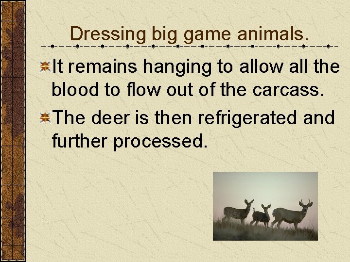 Dressing big game animals. It remains hanging to allow all the blood to flow