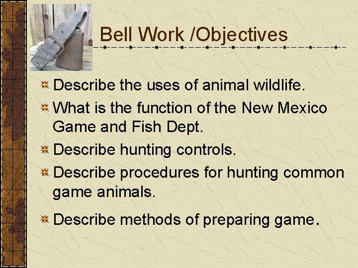 Bell Work /Objectives Describe the uses of animal wildlife. What is the function of