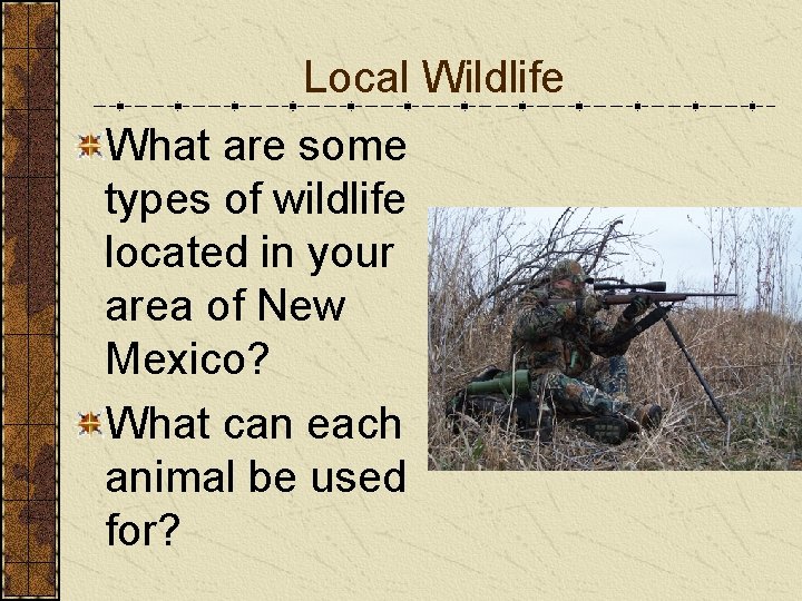 Local Wildlife What are some types of wildlife located in your area of New