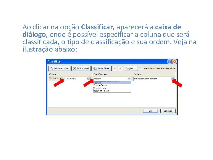 Ao clicar na opção Classificar, aparecerá a caixa de diálogo, onde é possível especificar