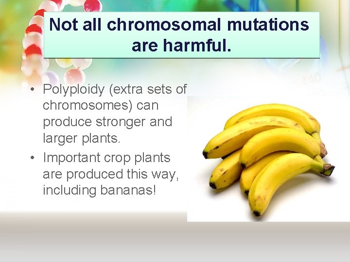 Not all chromosomal mutations are harmful. • Polyploidy (extra sets of chromosomes) can produce