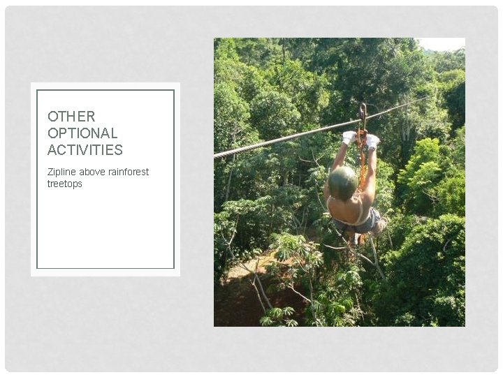 OTHER OPTIONAL ACTIVITIES Zipline above rainforest treetops 