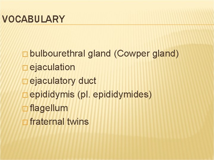 VOCABULARY � bulbourethral gland (Cowper gland) � ejaculation � ejaculatory duct � epididymis (pl. VOCABULARY � bulbourethral gland (Cowper gland) � ejaculation � ejaculatory duct � epididymis (pl.