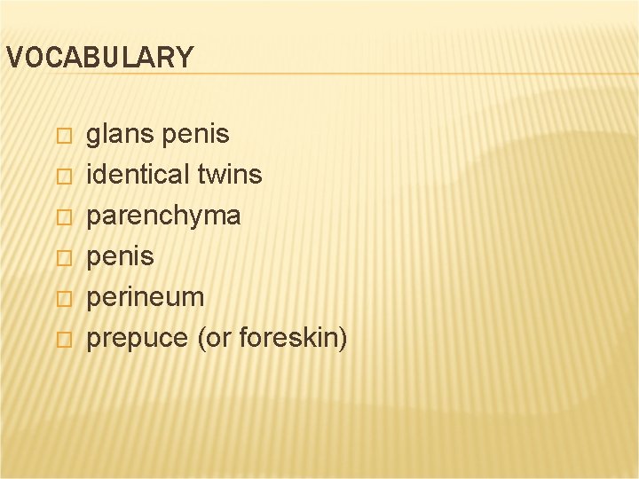 VOCABULARY � � � glans penis identical twins parenchyma penis perineum prepuce (or foreskin) VOCABULARY � � � glans penis identical twins parenchyma penis perineum prepuce (or foreskin)