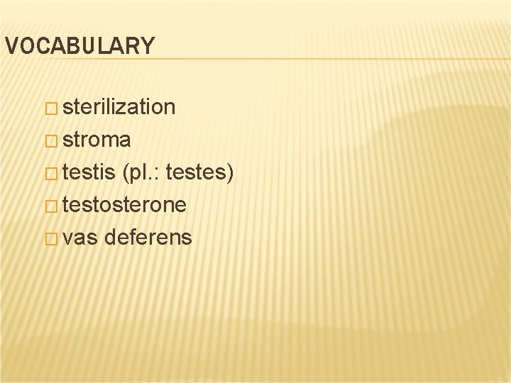 VOCABULARY � sterilization � stroma � testis (pl. : testes) � testosterone � vas VOCABULARY � sterilization � stroma � testis (pl. : testes) � testosterone � vas