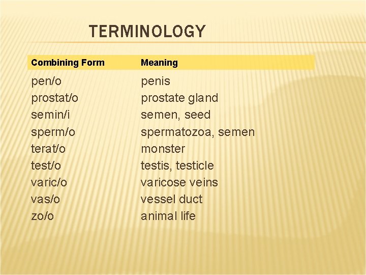 TERMINOLOGY Combining Form Meaning pen/o prostat/o semin/i sperm/o terat/o test/o varic/o vas/o zo/o penis TERMINOLOGY Combining Form Meaning pen/o prostat/o semin/i sperm/o terat/o test/o varic/o vas/o zo/o penis