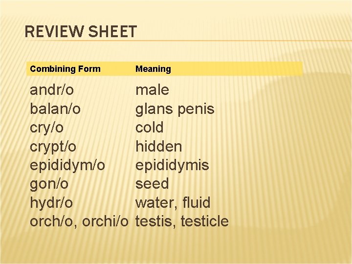 REVIEW SHEET Combining Form Meaning andr/o balan/o crypt/o epididym/o gon/o hydr/o orch/o, orchi/o male REVIEW SHEET Combining Form Meaning andr/o balan/o crypt/o epididym/o gon/o hydr/o orch/o, orchi/o male