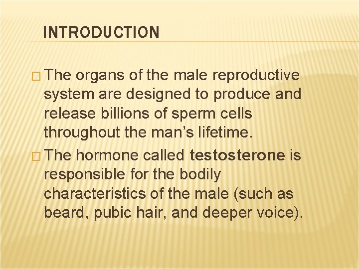 INTRODUCTION � The organs of the male reproductive system are designed to produce and INTRODUCTION � The organs of the male reproductive system are designed to produce and