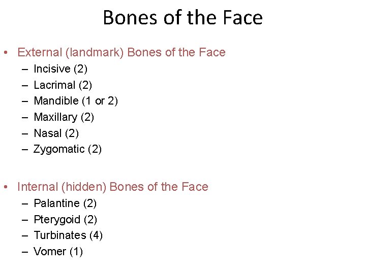 Bones of the Face • External (landmark) Bones of the Face – – –