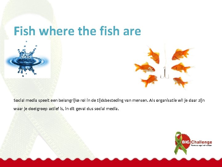 Fish where the fish are Social media speelt een belangrijke rol in de tijdsbesteding